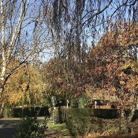 Campsite Amaido San Tirso de Abres