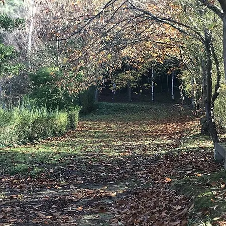 Campsite Amaido San Tirso de Abres